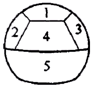 二級(jí)建造師考試市政實(shí)務(wù)知識(shí)點(diǎn):噴錨暗挖法的掘進(jìn)方式選擇