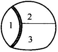 二級(jí)建造師考試市政實(shí)務(wù)知識(shí)點(diǎn):噴錨暗挖法的掘進(jìn)方式選擇