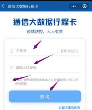 最后輸入自己的手機號碼，點擊查詢。